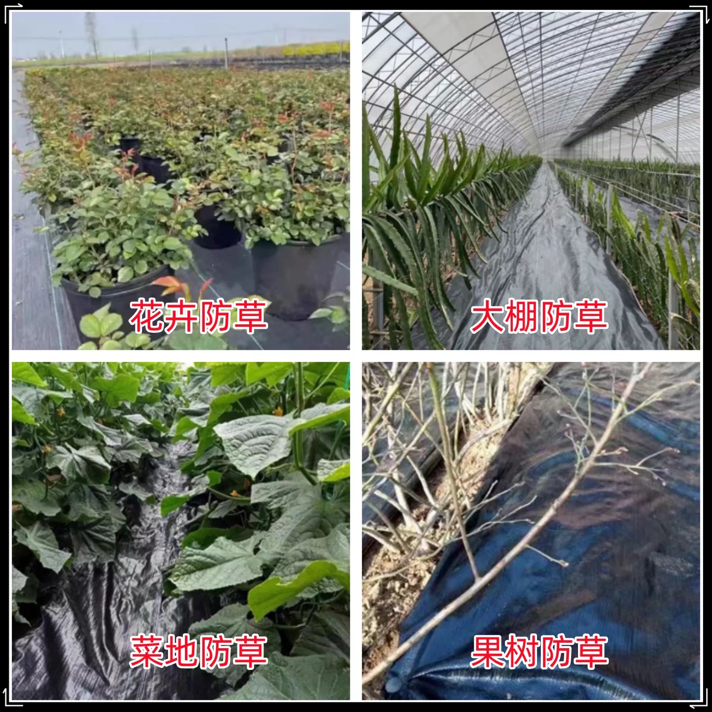 石嘴山市货车苫盖膜防草布 - 一站式服务