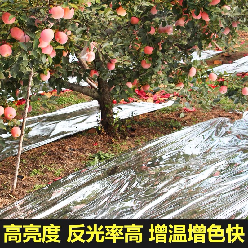 石嘴山市果树反光膜果树反光膜 - 推荐